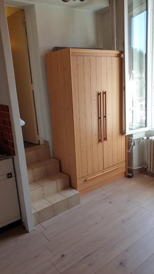 Joli Studio Chamechaude Сен-П'єрр-де-Шартрез Екстер'єр фото