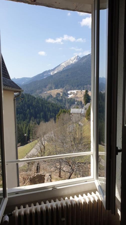 Joli Studio Chamechaude Сен-П'єрр-де-Шартрез Екстер'єр фото